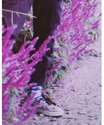 VANS | シューズ