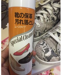 これで綺麗にする！ | その他