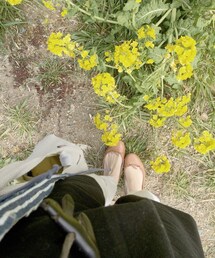 Repetto | レペット(パンプス)