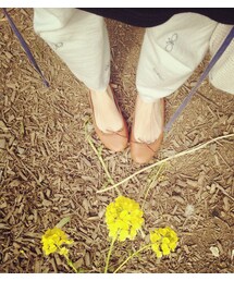 mina perhonen | スパッツ(レギンス/スパッツ)