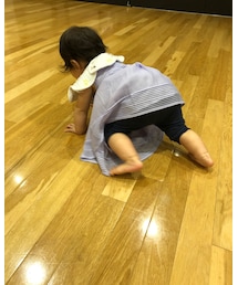 スタジオで遠慮なくハイハイ | その他