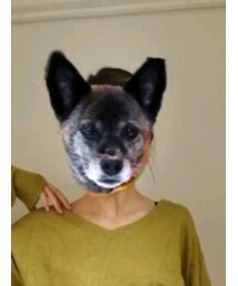 SLY | ニット/セーター