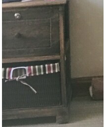 🌻 | Tシャツ/カットソー