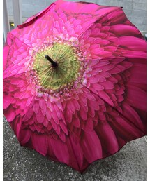 お花の傘 | その他