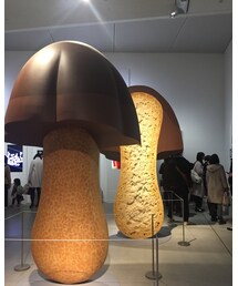 🍄 | その他