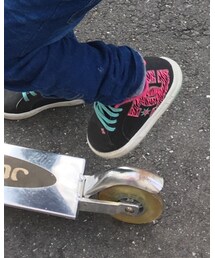 DC SHOES | スニーカー