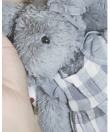 Dabron | おもちゃ