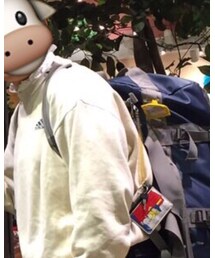 THE NORTH FACE | バックパック/リュック