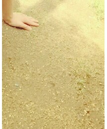 H&M | その他パンツ