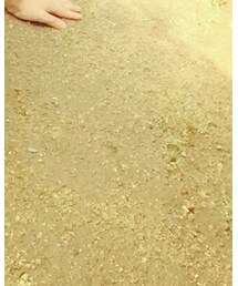 one way | ストール/ショール