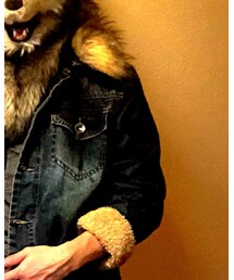 no brand | デニムジャケット