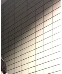 ELVIRA | サングラス