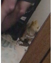 GIRLSRULE | ワンピース