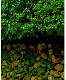 アップル | アナログ腕時計