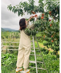 果物狩り | その他