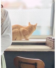 あぴ | その他