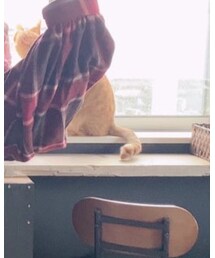 あぴ | その他
