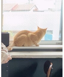 あぴ | その他