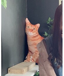 偽あぴ | その他