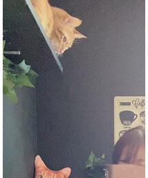 あぴ | その他