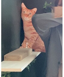 偽あぴ | その他