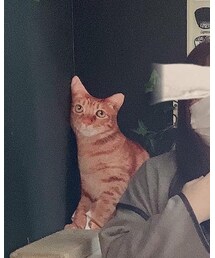 偽あぴ | その他