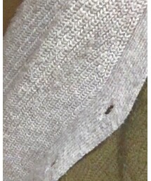 INGNI | カーディガン/ボレロ