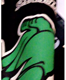 HELL CAT PUNKS | Tシャツ/カットソー