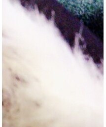 X-girl | メッセンジャーバッグ