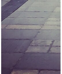 THE NORTH FACE | スニーカー