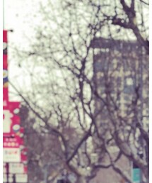 YELLOWS PLUS | メガネ