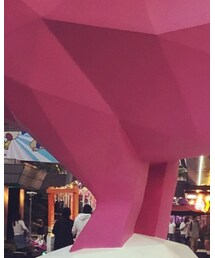 THE NORTH FACE PURPLE LABEL | Tシャツ/カットソー