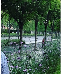 Carhartt WIP | シャツ/ブラウス