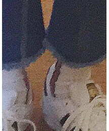 靴下屋 | ソックス/靴下