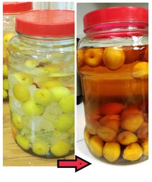 梅酒 解禁 | 福袋/福箱