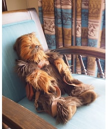 STAR WARS | バックパック/リュック