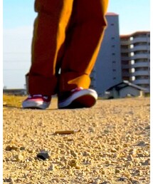 VANS | スニーカー