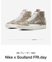 NIKE×SOULLAND"SNAKE" | スニーカー