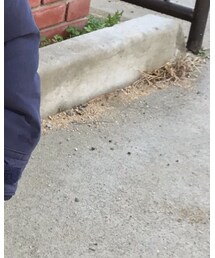 BREEZE | ジャケット/アウター