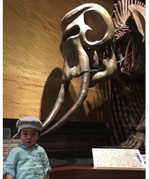 骨なら… | その他