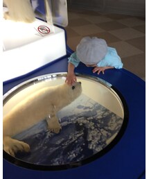 かわいい♥ | その他