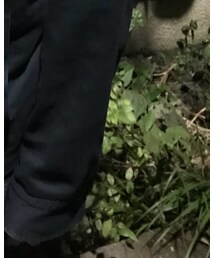 GU | Tシャツ/カットソー