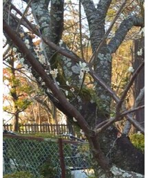 UNIQLO | ニット/セーター