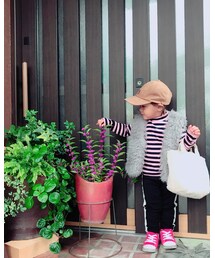 新しい植物が仲間入り❤ | その他