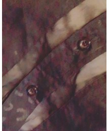 Iggy | Tシャツ/カットソー