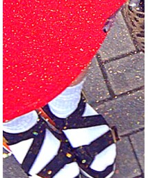 Champion | ソックス/靴下