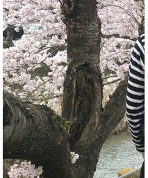 CUNE | バックパック/リュック