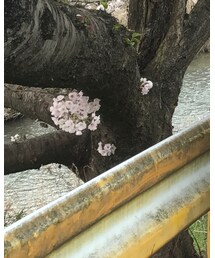 CUNE | デニムパンツ