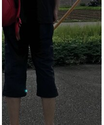 adidas | その他パンツ