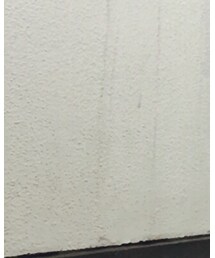 The Viridi-anne | ブーツ